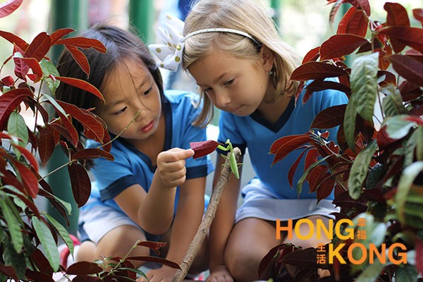 港湾学校