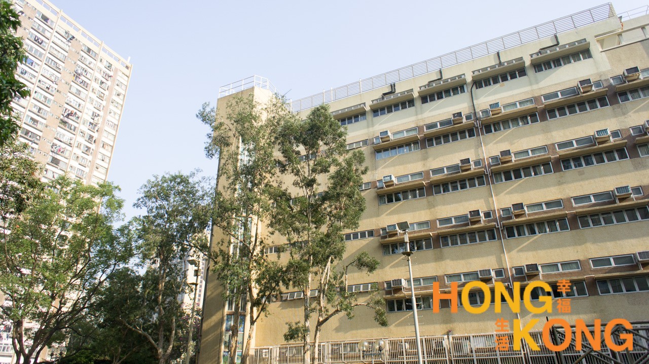 仁爱堂田家炳中学_香港中学_怎么样